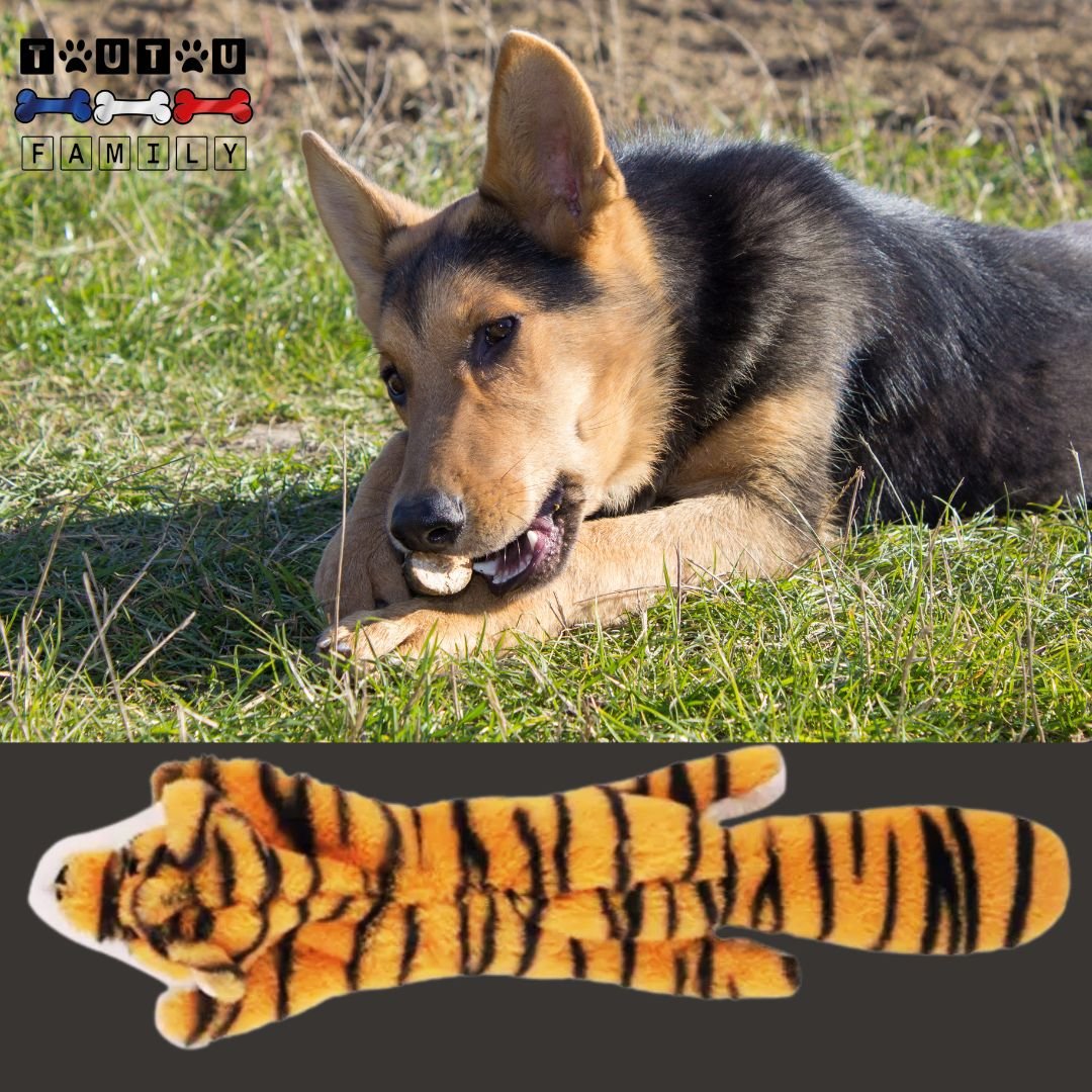 Peluche-indestructible-pour-chien-tigre un chien qui tient la peluche entre ses pattes et la mordille, la mâchouille