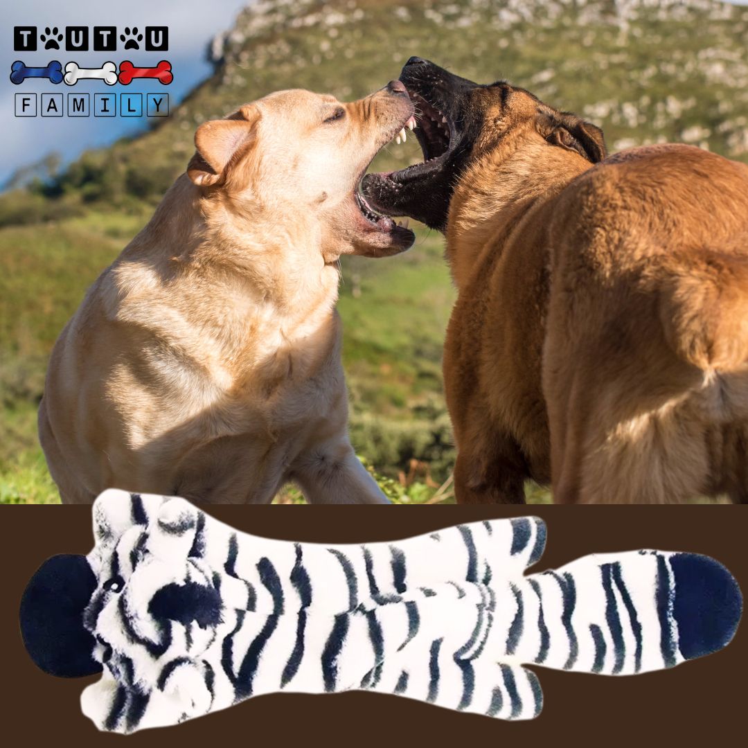 Peluche-indestructible-pour-chien-zèbre deux chiens musclés aux morsures fortes qui joue à mordre avec la peluche zèbre avec corde lavable en machine