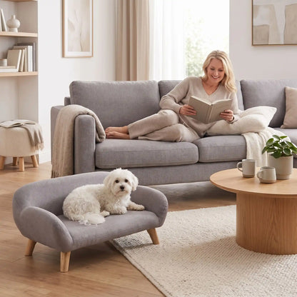 Petit-canape-pour-chien-chiot-design de couleur gris, dossier et accoudoirs arrondis dans un style scandinave, tissu résistant aux griffes, rembourrage 100% coton haute densité pour un confort optimal, structure en bois massif et surélevé avec 4 pieds en bois massif pour chiot et chien de 0 à 8 kilos-un chien de petite race couché confortablement sur son canapé gris design sur pied en bois massif et rembourrage en éponge coton ergonomique au pied de sa maitresse assise sur son propre canapé dans le salon 
