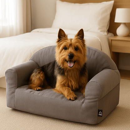 Petit-canapé-pour-chien-déhoussable et lavable en machine-100% coton haute densité ergonomique-housse résistante aux griffes-antidérapant-avec dossier et 2 accoudoirs-écoresponsable-matériau 100% naturel, hypoallergénique et respirant-pour petit chien et chiot jusqu'à 7 kg-un chien de petite taille heureux et couché paisiblement dans son canapé gris dans la chambre de l'appartement