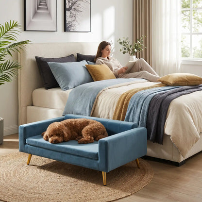 Petit-canapé-pour-chien-chiot-design scandinave chic en velours sur 4 pieds inoxydable de couleur doré avec patin antidérapants et anti rayures , dossier et accoudoirs rembourrés 100% coton haute densité et coussin amovible déhoussable et lavable en machine à laver pour chiot et chien de petite à moyenne taille de 0 à 15 kilos max- un chien de petite taille qui dort sur le canapé lit design au lignes épurées de couleur bleu à côté du lit de sa maitresse allongé qui lit dans la chambre de l'appartement