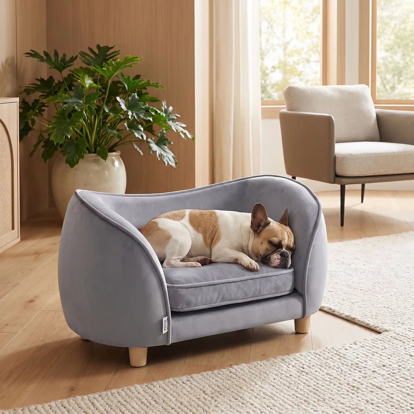 Petit-fauteuil-pour-chien-chiot-coussin intérieur épais au rembourrage 100% coton ergonomique, velours doux et résistant aux griffes, imperméable déhoussable et lavable en machine, de couleur gris, au design enveloppant en forme bateau structrure en bois massif avec 4 pieds à vissés en bois massif et robuste pour chiot et chien de petite taille à moyenne taille-un chien de moyenne race qui dort paisiblement enveloppé dans son fauteuil avec son haut dossier en U et son coussin épais et moelleux sur pieds