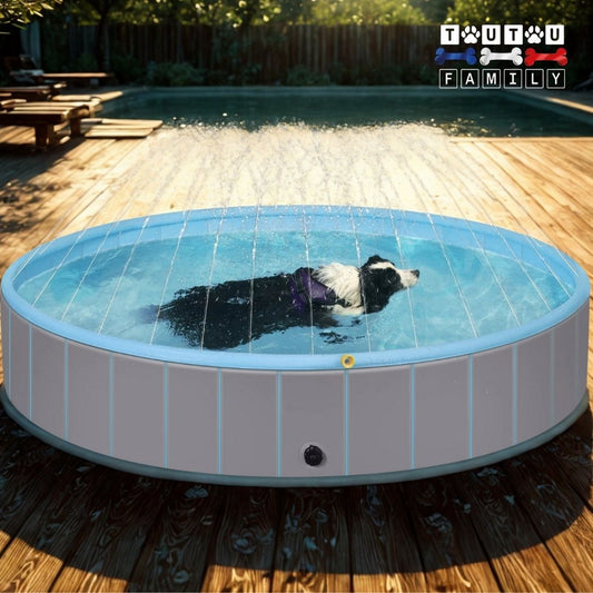 Piscine-pour-chien-xxl--piscine-rigide un Border collie qui nage et se rafraichit dans sa piscine pour grand chien avec ses jets d'eau sur la terrasse de la maison en été pendant  les grandes chaleurs