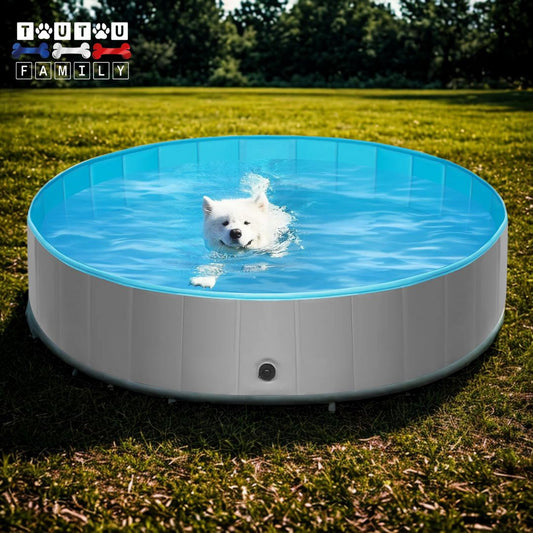 Piscine-pour-chiens rigide, grande résistante aux griffes, pliable, antidérapante-un chien qui nage dans sa grande piscine dans le jardin en été