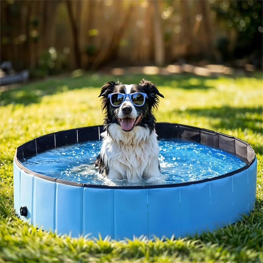 Piscine-rigide-pour-chien chiot, pliable, transportable, antidérapante, résistante aux griffes- de diamètre 80 cm avec bouchon de vidange facile- un Border collie assis dans la piscine bleu avec ses lunettes de soleil sur le museau dans le jardin de la maison en été