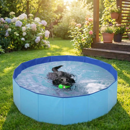 Piscine-rigide-pour-chien chiot, pliable, transportable, antidérapante, résistante aux griffes- de diamètre 80 cm avec bouchon de vidange facile- un labrador qui nage dans la piscine bleu avec sa balle dans la gueule dans le jardin de la maison en été