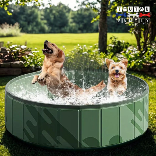 Piscine-rigide-pour-chien-pliable-jeu-d-eau-anti-uv-solide-résistante-pliable-avec-bouchon-de-vidange-pour-une évacuation facile-deux chiens qui jouent dans à piscine sur lapelouse du jardin en été