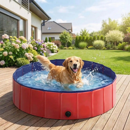 Piscine-rigide-pour-chien chiot, pliable, transportable, antidérapante, résistante aux griffes- de diamètre 80 cm avec bouchon de vidange facile- un golden retriever qui marche dans la piscine rouge et bleu sur la terrasse de la maison en été