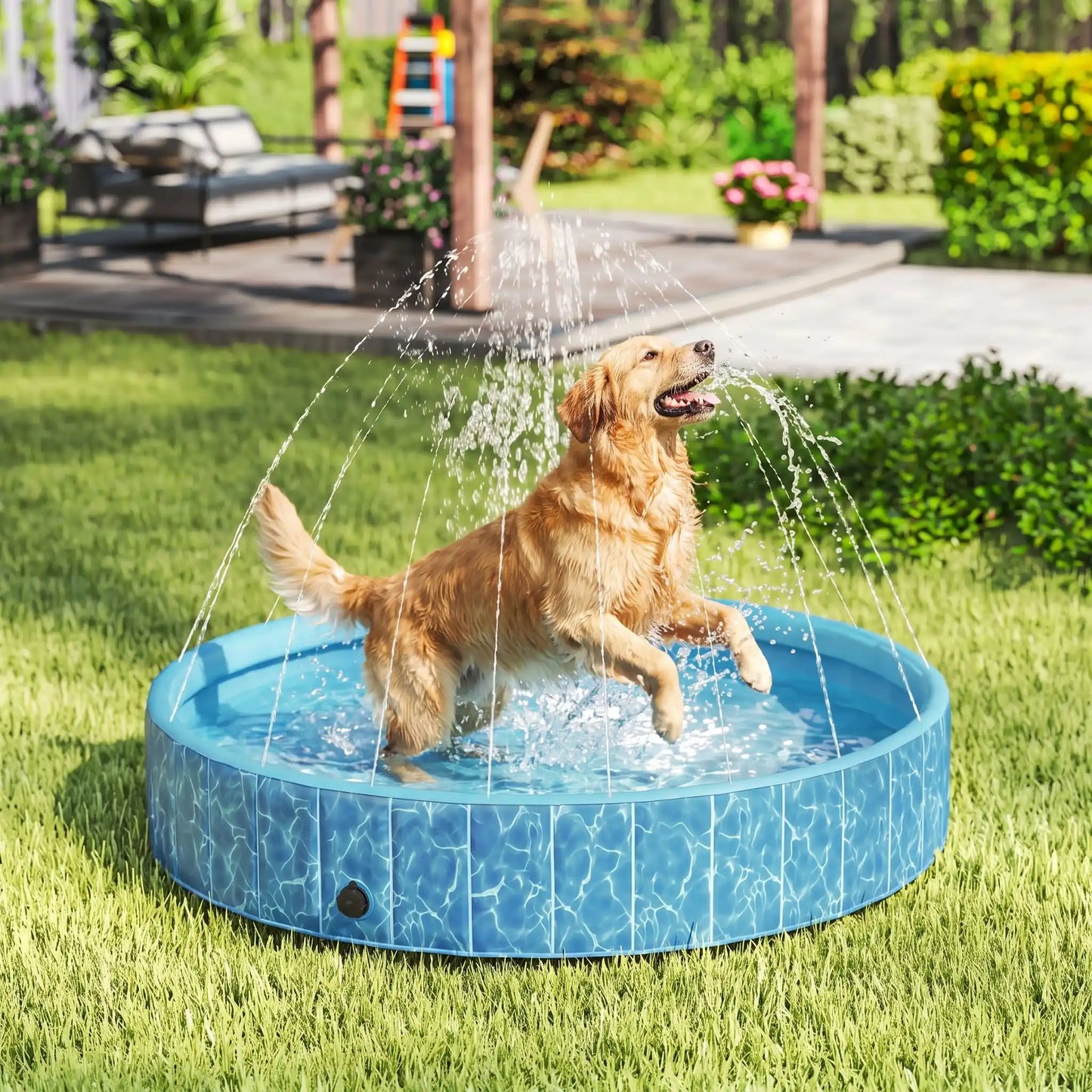 Piscine-rigide pour grand chien-xxl avec raccord universel au tuyau d'arrosage pour jets d'eau,rigide-vidange rapide et facile,pliable, transportable en panneaux de fibres rigides et naturels avec PVC ultra-résistant avec couche intérieure renforcée pour chien de grande race, fond antidérapant et résistant aux griffes-un chien de grande race qui jouent à attraper les jets actionnés de sa grande piscine dans le jardin de la maison en été
