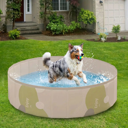 Piscines-pour-chiens-rigide en panneaux MDF robuste anti-affaissement, PVC sans produits toxiques , pliable et lavable de diamètre 80/100/120 cm et de 20/30 cm de hauteur étudié pour une entrée et sortie facile et sécurisé pour le chien avec bouchon de vidange pratique et rapide, polyvalente piscine à balle, bassin, baignoire pour toilettage-un berger australien qui saute avec sa balle dans la machoire dans la piscine remplie d'eau dans le jardin de la location de vacances en été