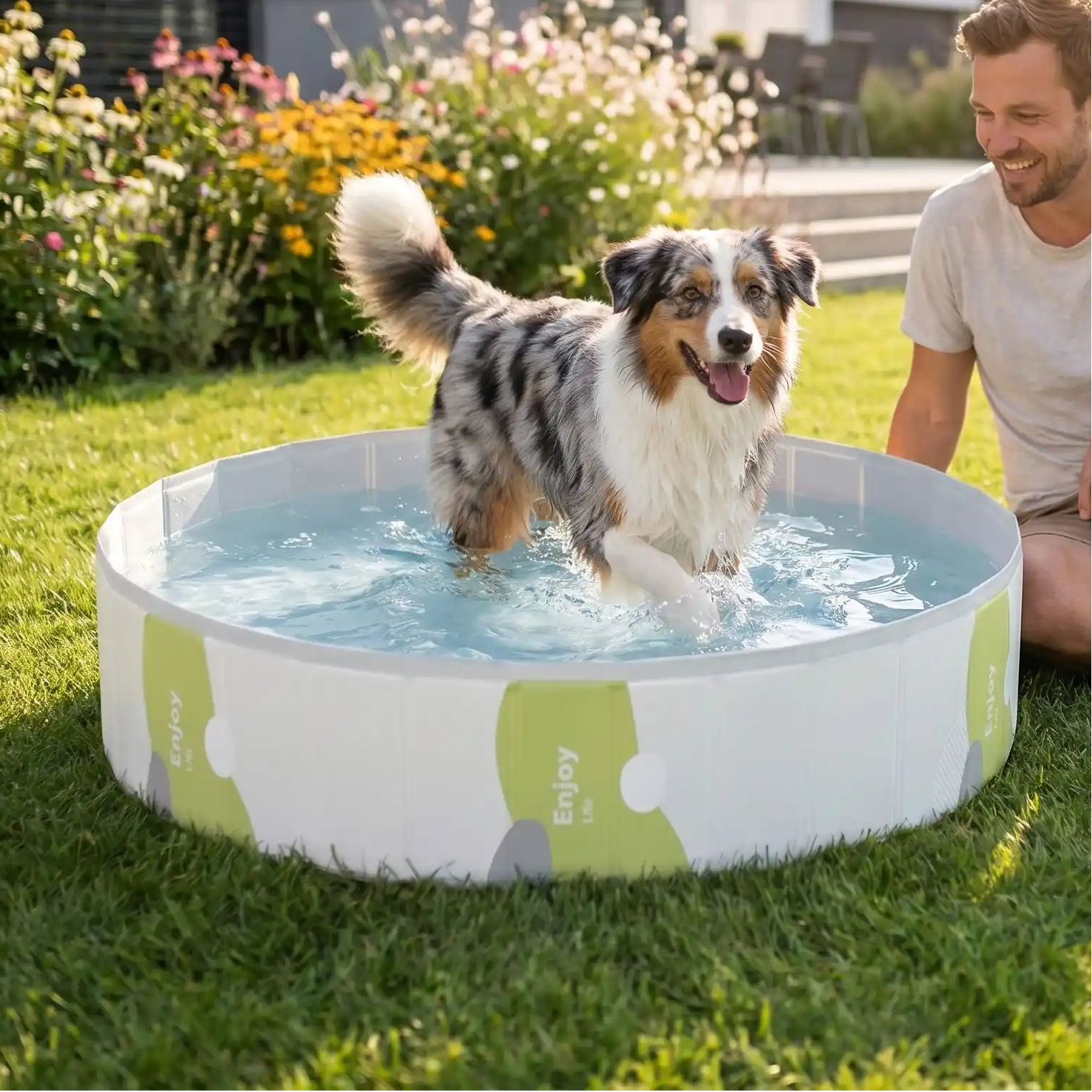Piscines-pour-chiens-rigide en panneaux MDF robuste anti-affaissement, PVC sans produits toxiques , pliable et lavable de diamètre 80/100/120 cm et de 20/30 cm de hauteur étudié pour une entrée et sortie facile et sécurisé pour le chien avec bouchon de vidange pratique et rapide, polyvalente piscine à balle, bassin, baignoire pour toilettage-un grand chien à poils longs heureux de se rafraichir en été dans la piscine remplie d'eau avec son maitre assis sur la pelouse à côté de lui et qui le regarde amusé