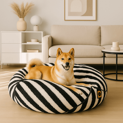 Pouf-pour-chien-déhoussable-velours-rembourrage généreux en coton-déhoussable et lavable en machine-chaud-douillet et résistant aux griffes et morsures-design moderne géométrique polygonale-rayure graphique-antidérapant et imperméable pour chiot et chien de petite à moyenne taille de 0 à 15 kg-un chien de taille moyenne couché confortablement dans son pouf moelleux dans le salon de la maison 