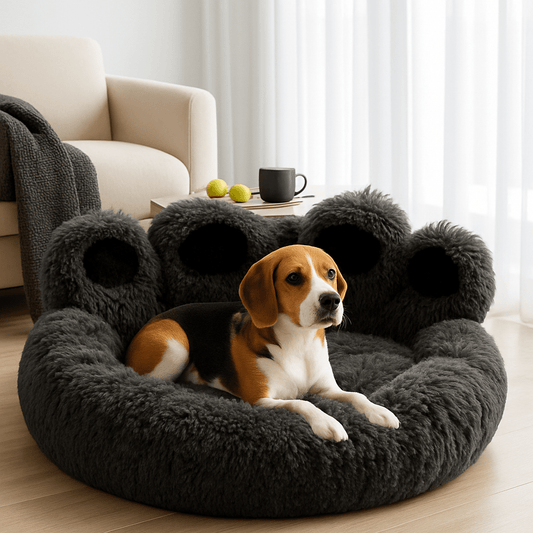 Pouf-pour-chien-lit-apaisant-un chien de taille moyenne couché sur le sofa en peluche ultra-douce et hypoallergénique eu rembourrage 100% coton densité dans le salon moderne de l'appartement antidérapant et imperméable pour chien de petite à moyenne taille