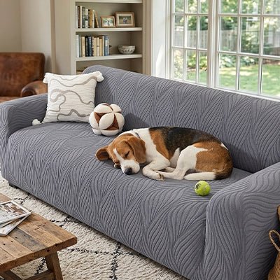 Protection-canape-antiderapant-4-saisons, extensible, lavabkle en machine avec relief doux et sécurisant , tissu anti poils et résistant aux griffes, idéal pour les propriétaire de chiens, 4 tailles disponible du fauteuil 1 places au XL pour canapé 4 places-un chien de taille moyenne qui dort paisiblement en boule sur la protection grise du canapé dans le salon de l'appartement