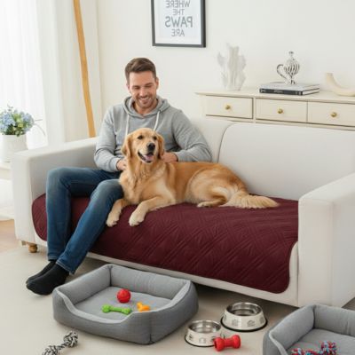 Protection-canape-chien-couverture-protege-siege-imperméable, résistant aux griffes, durable, tapis ou couverture qui protège des accidents, humidité saleté, boue,tissu anti poils, lavable en machine en 3 tailles M, L et XL pour canapé de 1/2/3 places, futon, canapé relax et canapé avec angles ou méridienne-un maitre assis avec son golden retriever couché contre lui sur le protège canapé de couleur rouge bordeaux au rembourrage 100% coton sur le canapé du salon de la maison