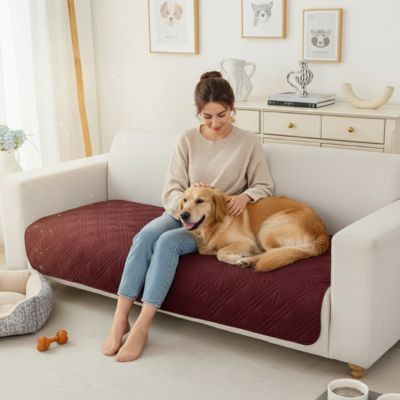 Protection-canape-chien-couverture-protege-siege-imperméable, résistant aux griffes, durable, tapis ou couverture qui protège des accidents, humidité saleté, boue,tissu anti poils, lavable en machine en 3 tailles M, L et XL pour canapé de 1/2/3 places, futon, canapé relax et canapé avec angles ou méridienne-un maitresse assise qui caresse son grand chien à poils longs couché contre elle en boule sur le protège canapé de couleur bordeaux au rembourrage 100% coton sur le canapé du salon de l'appartement