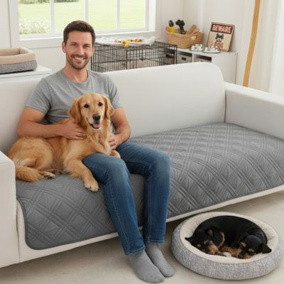 Protection-canape-chien-couverture-protege-siege-imperméable, résistant aux griffes, durable, tapis ou couverture qui protège des accidents, humidité saleté, boue,tissu anti poils, lavable en machine en 3 tailles M, L et XL pour canapé de 1/2/3 places, futon, canapé relax et canapé avec angles ou méridienne-un maitre souriant assis avec son golden retriever couché sur lui sur le protège canapé de couleur gris au rembourrage 100% coton sur le canapé du salon de l'appartement