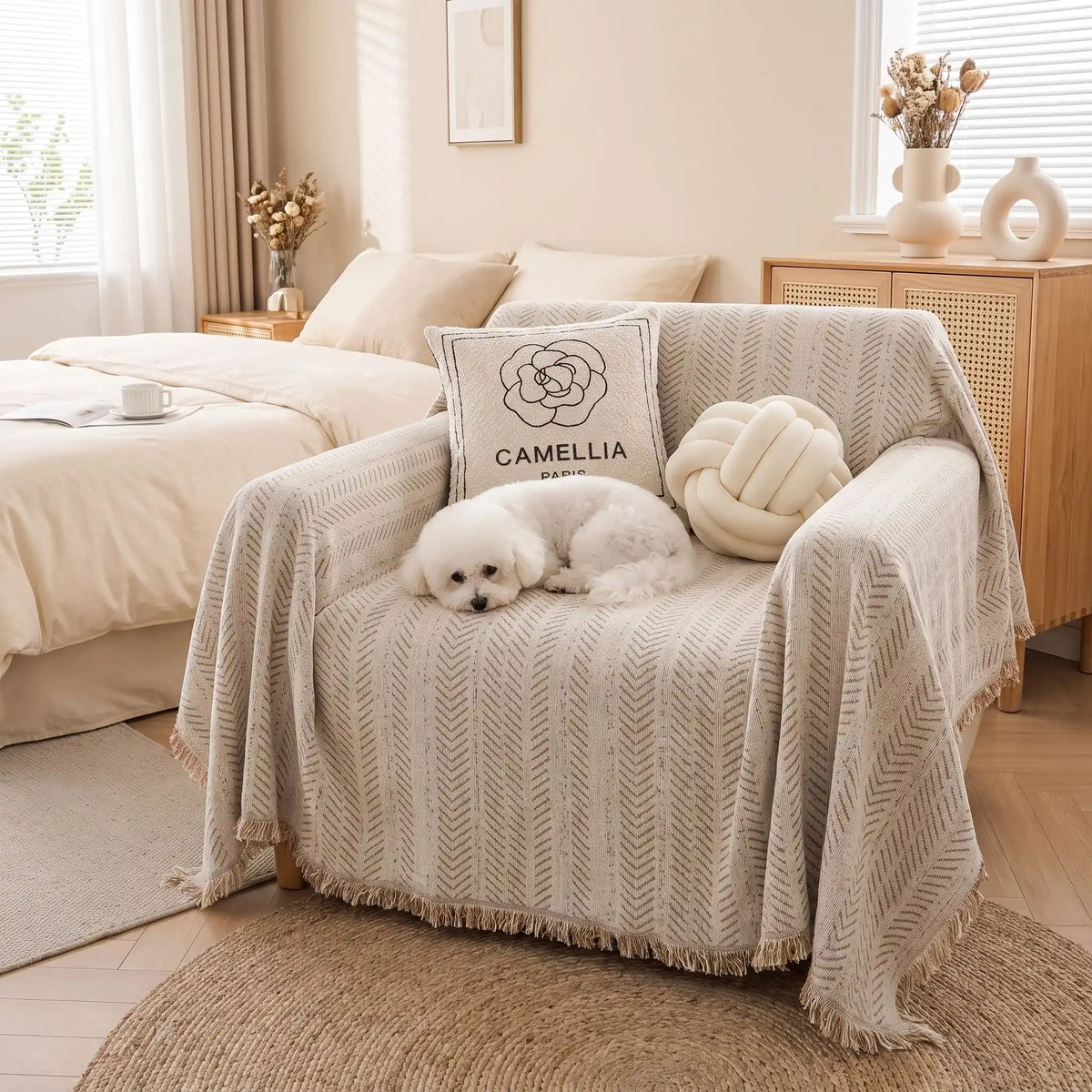Protection-canapé-chien-bohême-anti-poils-résistante aux griffes, tissage chenille coton et polyester, écoresponsable avec franges pour un style bohème chic de couleur gris clair, dispoinble en 4 tailles pour fauteuil/canapé une place, deux places, 3 places et 4 places, lavable en machine, doux respirant confortable et 4 saisons-un chien de petite race qui dort couché  confortablement sur le plaid qui protège le fauteuil 1 place avec accoudoirs dans la chambre de l'appartement