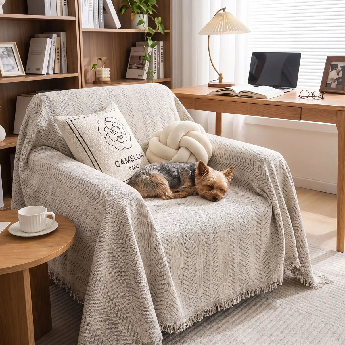 Protection-canape-chien-anti-poils-résistante aux griffes, tissage chenille coton et polyester, écoresponsable avec franges pour un style bohème chic de couleur gris clair, dispoinble en 4 tailles pour fauteuil/canapé une place, deux places, 3 places et 4 places, lavable en machine, doux respirant confortable et 4 saisons-un chien de petite taille qui dort en boule confortablement sur le plaid de protection pour fauteuil une place dans le bureau de l'appartement