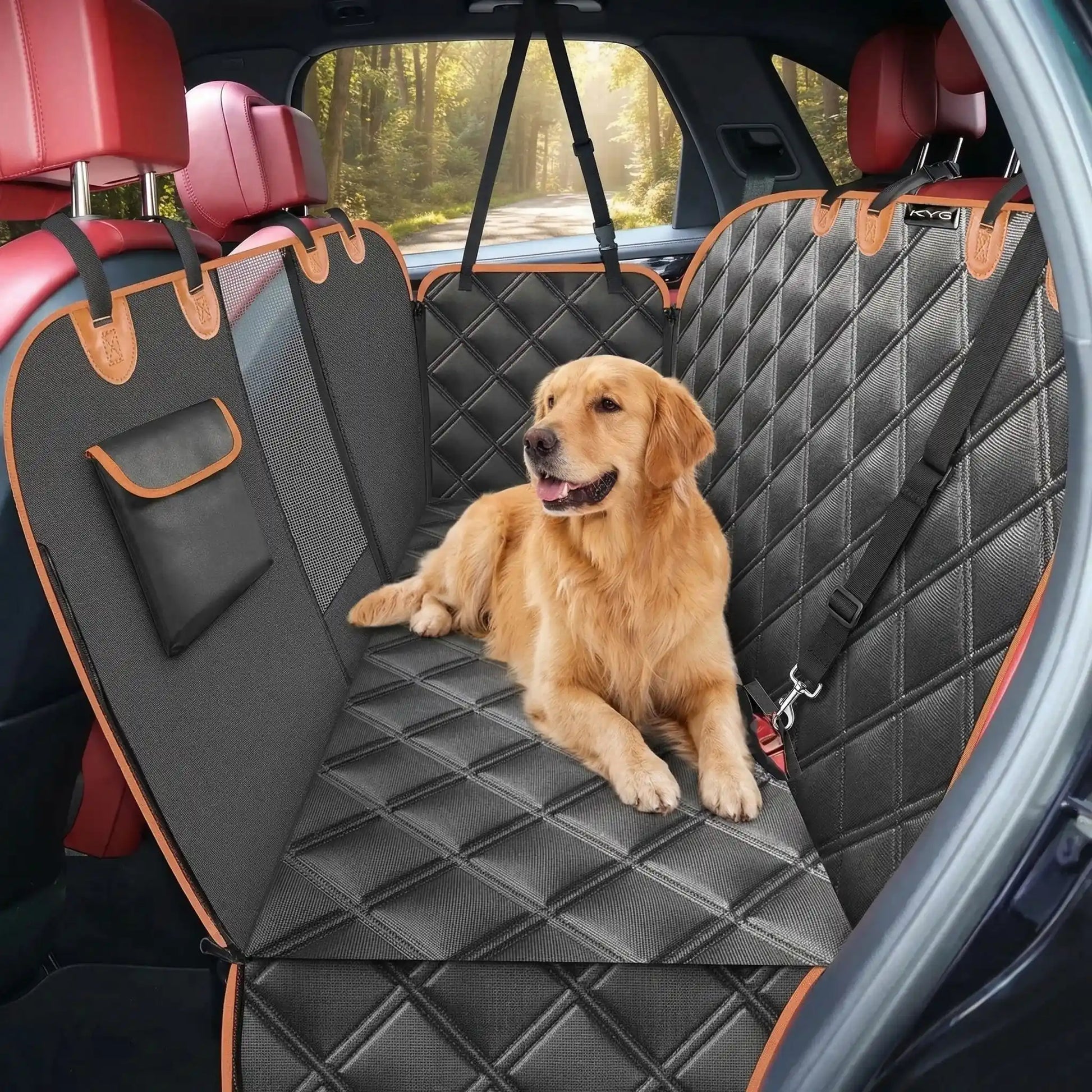 Protection-siege-arriere-voiture-chien , hamac imperméable matelassé et fond rigide avec sangles d'accroche sur les appuies tête et filet de protction au milieu des deux siège avant pour une ventilation optimal et une visibilité pour le conducteur ou passage sur le chien avec ouverture pour les clips de ceinture de sécurité, pliable et matelassé pour le tranport- avec une ceinture de sécurtité pour chien offerte-un golden retriever couché confortablement sur le protège de la banquette arrière de la voiture