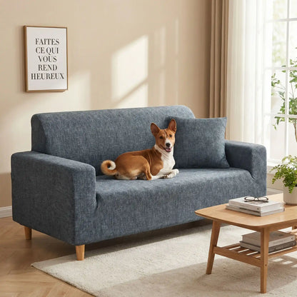 Protege canape chien - HousseToutou™