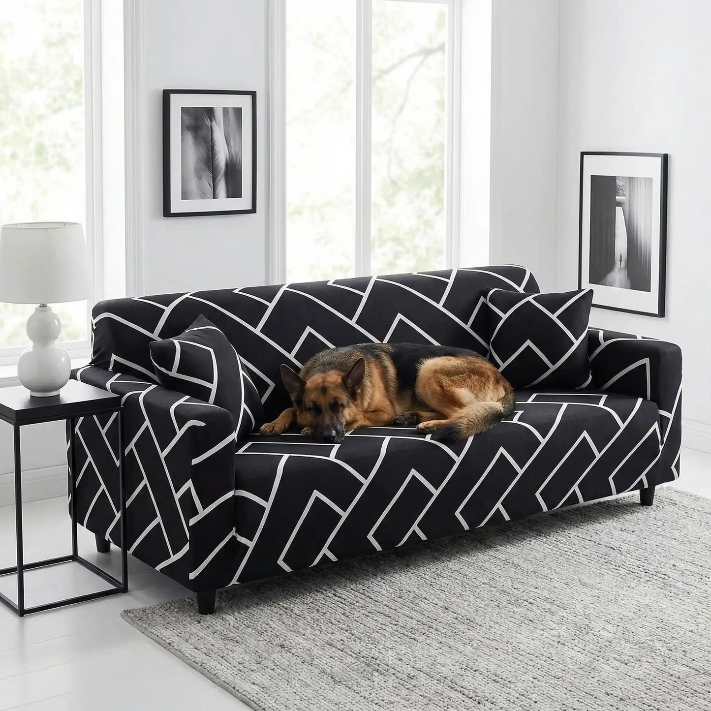 Protege canape chien - HousseToutou™