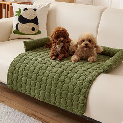 Protege-canape-chien-chiot-imperméable, résistant aux griffes, durable, tapis ou couverture qui protège des accidents, humidité saleté, boue,tissu anti poils, lavable en machine avec traversin en U pour un sentiment d'enveloppement ou un soutien du cou ou de la tête du chien, antidérapant pour chien de 0 à 15 kilos-deux chiot caniches en apprentissage de propreté sur le protege canape de couleur vert au rembourrage 100% coton sur le canapé du salon de l'appartement