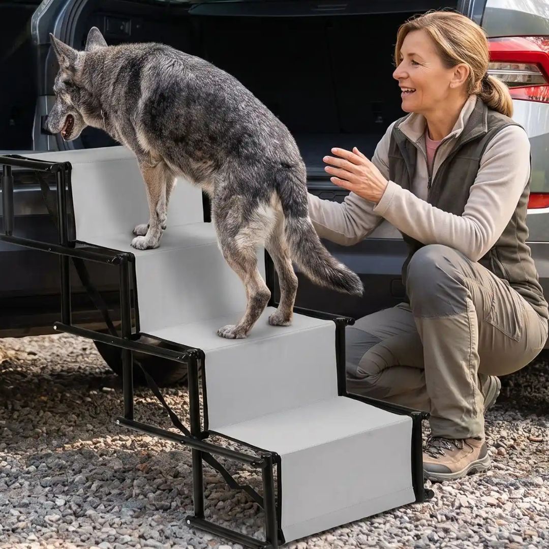 Rampe-escalier-pour-chien-chiot-pliable-voiture en acier oxydable et tissu oxford résistant aux griffes, antidérapant et 100% imperméable, pliage en accordéon, ouverture rapide et facile en un geste, poignées en mousse anti-rayures, légère avec sangles de transport de 4 marches avec hauteurs modulables 56 à 76 cm pour chien de moyenne à grande taille de 30 à 75 kilos max-un grand chien âgé taille qui monte du coffre de la voiture sur la rampe escalier de 4 marches dépliables de couleur gris