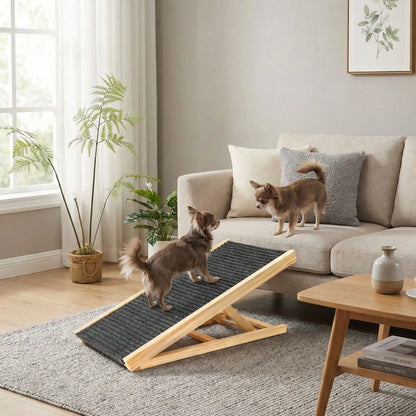 Rampe-pour-chien-pliable, en bois massif robuste de pin et surface adaptable en moquette douce et antidérapante pour un accès sécurisé et facile au meubles, canapé, lit de la maison ou en transport en déplacement, en voiture pour la montée et la descente du chien en toute autonomie et sécurité-udeux chihuahua qui montent confortablement sur la rampe inclinée pour un accès au canapé du salon en toute sécurité et autonomie
