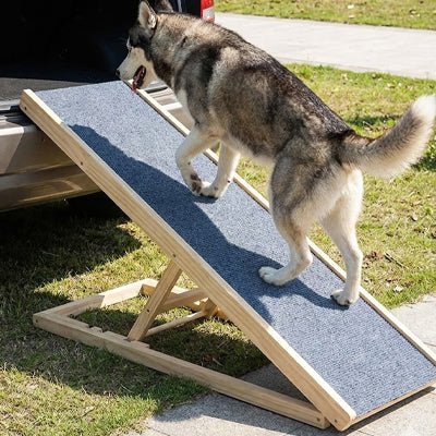Rampe-pour-chien-pliable, en bois massif robuste de pin et surface adaptable en moquette douce et antidérapante pour un accès sécurisé et facile au meubles, canapé, lit de la maison ou en transport en déplacement, en voiture pour la montée et la descente du chien en toute autonomie et sécurité-un Husky qui monte confortablement sur la rampe inclinée pour un accès au coffre de la voiture, idéal pour les races aux articulations fragiles, âgés, atteint de dysplasie, en croissance ou convalescence