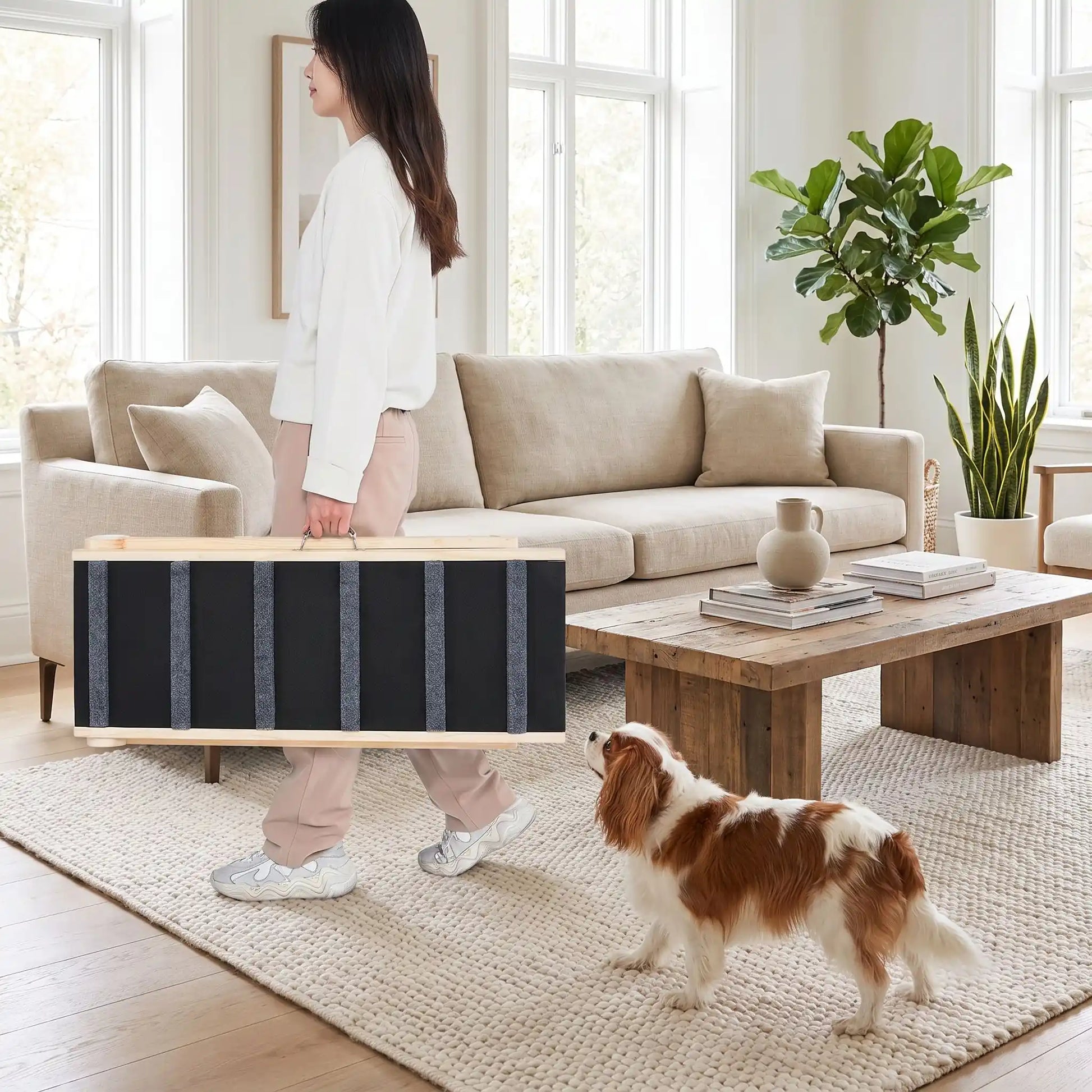 Rampe-pour-chiens-chiots pliable, en bois massif robuste de pin et surface adaptable en moquette douce et petites marches tranversales antidérapante pour un accès sécurisé et facile canapé, lit de la maison ou en transport en déplacement, en voiture pour la montée et la descente du chien en toute autonomie et sécurité, 5 hauteurs réglables -une maitresse avec son chien qui porte par la poignée de transport la rampe pliée, de seulement 4,7 kilos pour un transport facile et une utilisation partout
