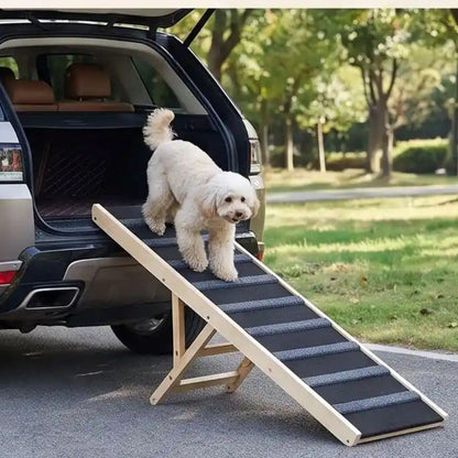 Rampe-pour-chiens-chiots pliable, en bois massif robuste de pin et surface adaptable en moquette douce et petites marches tranversales antidérapante pour un accès sécurisé et facile canapé, lit de la maison ou en transport en déplacement, en voiture pour la montée et la descente du chien en toute autonomie et sécurité, 5 hauteurs réglables -un chien de race moyenne qui descend sur la rampe en bois réglable pour descendre en toute sécurité du coffre de la voiture pour une balade au parc