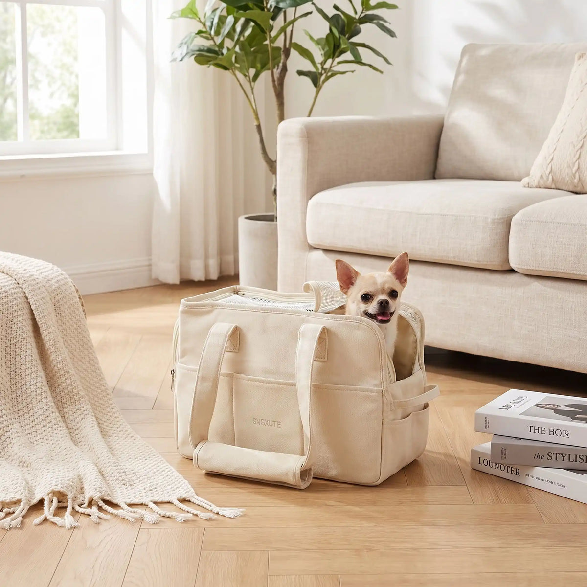 Sac-de-transport-chien-chiot- design sac à main avec multiples poches pour chien de 0 à 6 kg max,imperméable, coussins intérieur 100% coton lavable et rembourré, deux sangles avec poignées confort rembourré et renforcé pour être porté à la main ou sur l'épaule, attache laisse intégré pour sa sécurité et fillet refermable sur le so et ouverture latéral pour qu'il passe sa tête-gros plan sur le sac de transport pour chien avec son chihuahua dedans tout content dans le salon de la maison avant de sortir