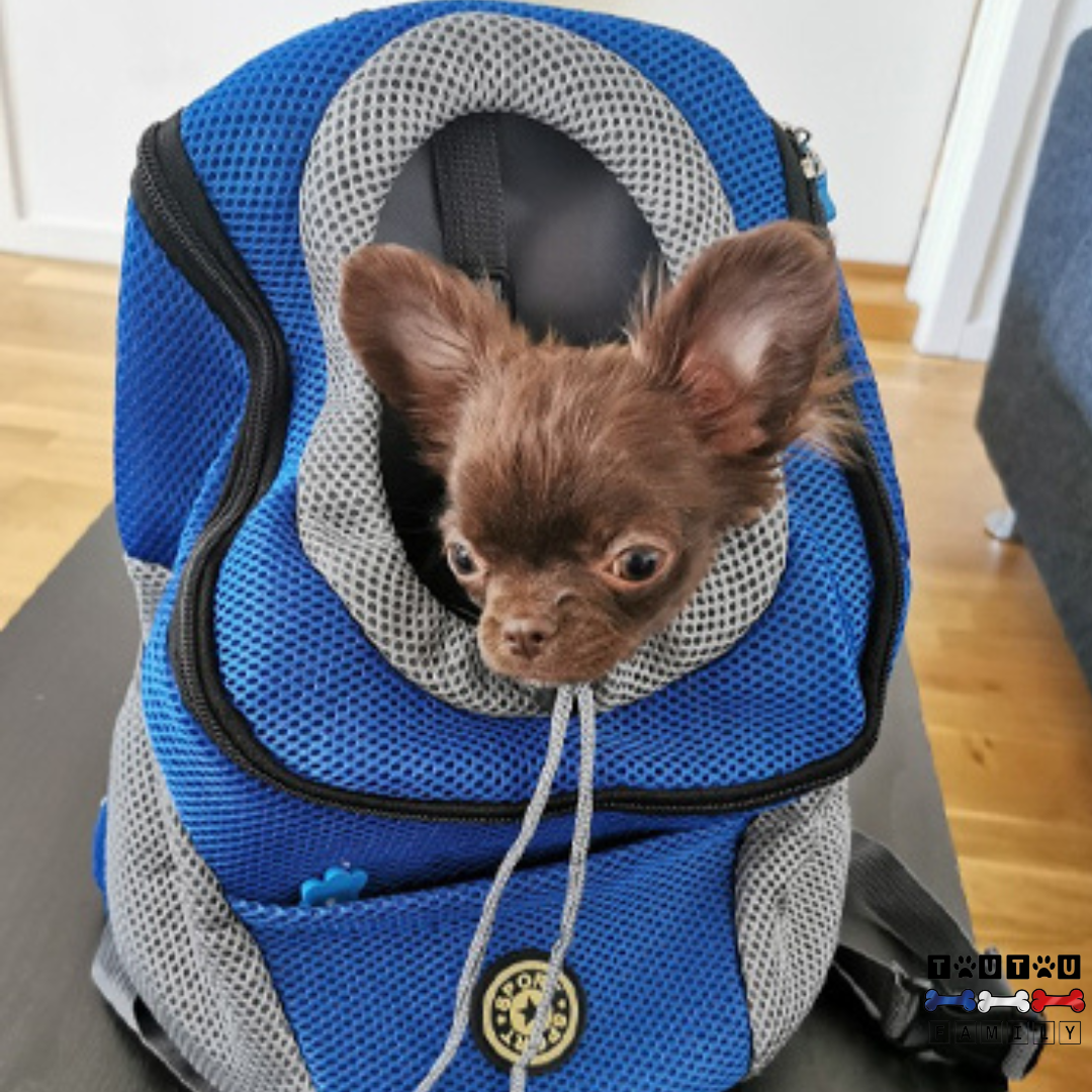 Sac à dos pour chien - PorteToutou™