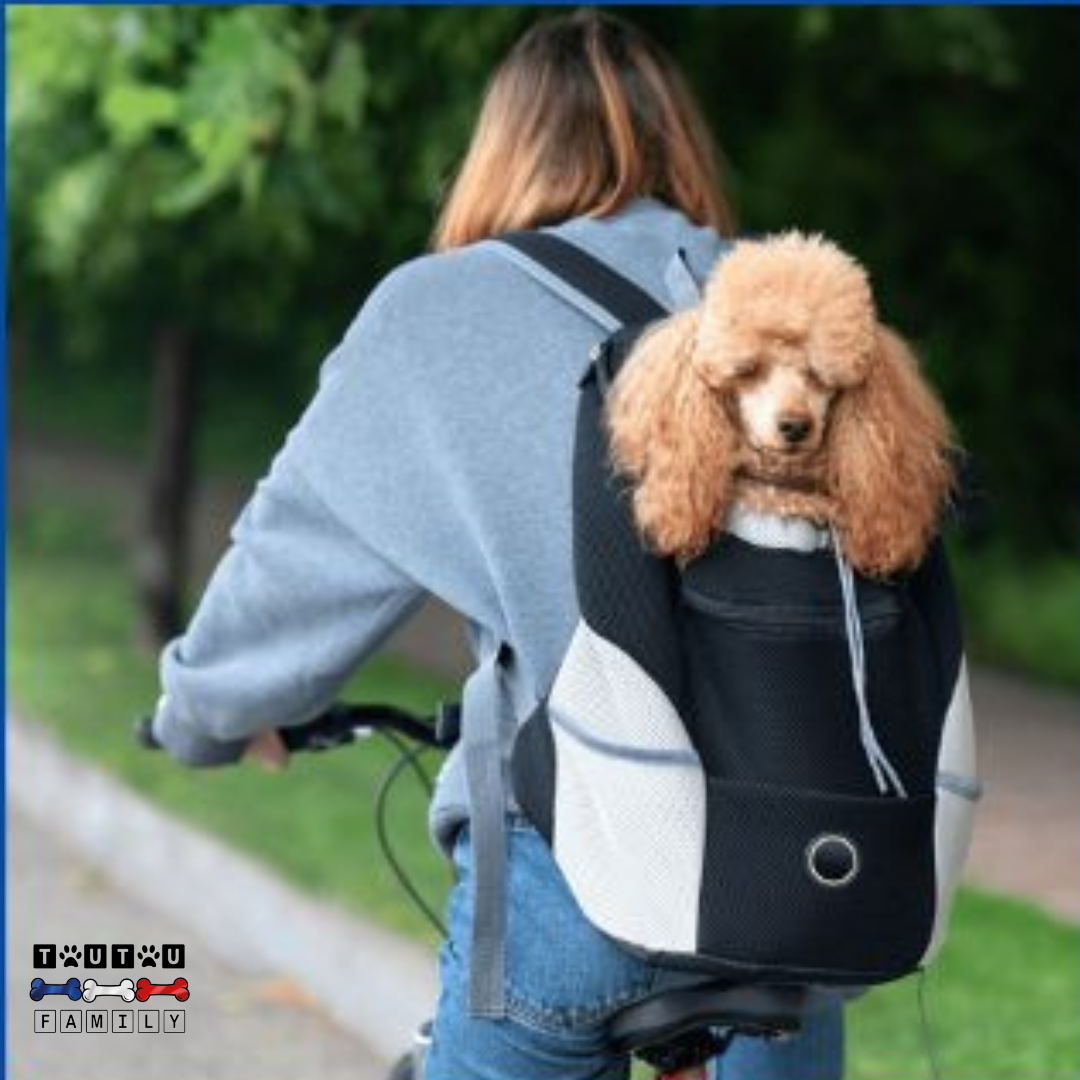 Sac à dos pour chien - PorteToutou™