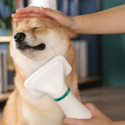 Séchoir-pour-chien et chiot 2 en 1 avec sa brosse intégrée, 3 vitesses de chauffe, avec filtre anti poussière et moteur durable, silencieux , léger, portable et maniable, brosse amovible inclinéé à 135° pour un brossage sans danger qui masse et favorise la circulation sanguine, élimine efficacement les poils morts et sèche et coiffe en même temps-gros plan sur un chien de taille moyenne détendu qui se fait brosser et sécher confortablement par sa maitresse avec le séchoir électrique
