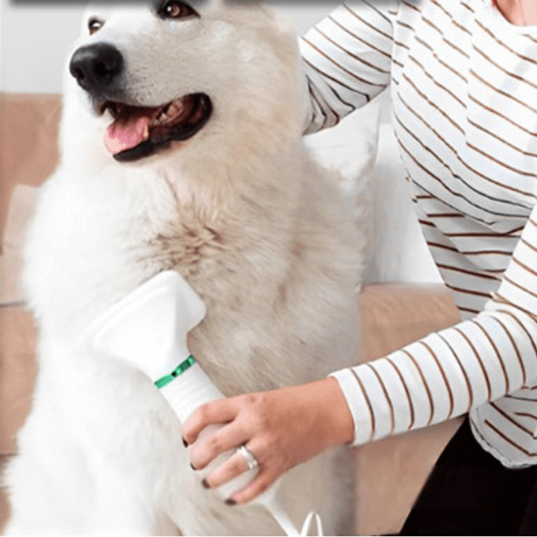 Séchoir-pour-chien et chiot 2 en 1 avec sa brosse intégrée, 3 vitesses de chauffe, avec filtre anti poussière et moteur durable, silencieux , léger, portable et maniable, brosse amovible inclinéé à 135° pour un brossage sans danger qui masse et favorise la circulation sanguine, élimine efficacement les poils morts et sèche et coiffe en même temps-gros plan sur le chien de taille moyenne à poils longs et épais qui se fait brosser et sécher confortablement par sa maitresse pour montrer son efficacité
