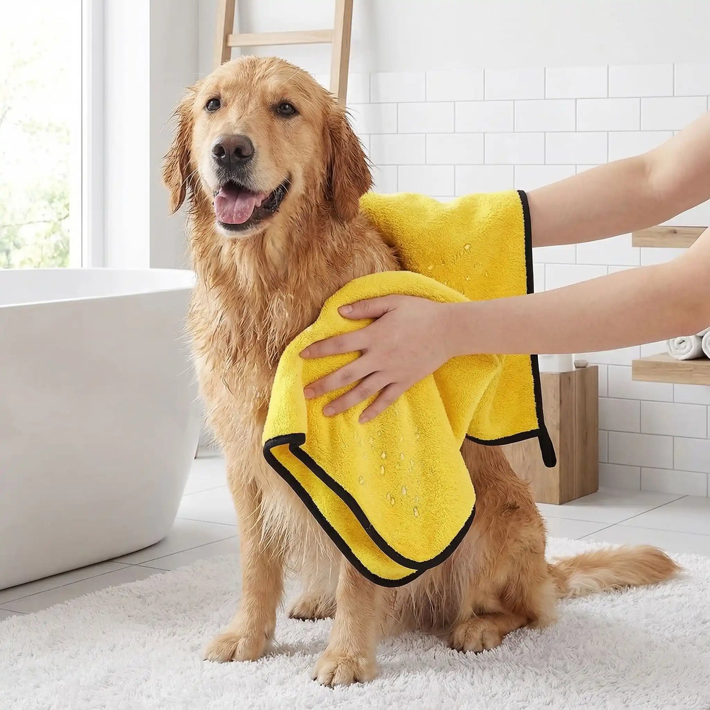 Serviette-pour-chien-chiot-lot-de-2 en microfibre, ultra-absorbante, ultra-douce pour une utilisation polyvalente, bain, toilettage, sortie, disponible en 2 taille pour chien de petite à grande taille-un Golden retriever qui se fait sécher par sa maitresse avec après son bain