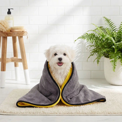 Serviette-pour-chien-chiot-lot-de-2 en microfibre, ultra-absorbante, ultra-douce pour une utilisation polyvalente, bain, toilettage, sortie, disponible en 2 taille pour chien de petite à grande taille-un Bichon maltais enveloppé dans la serviette absorbante après son toilettage