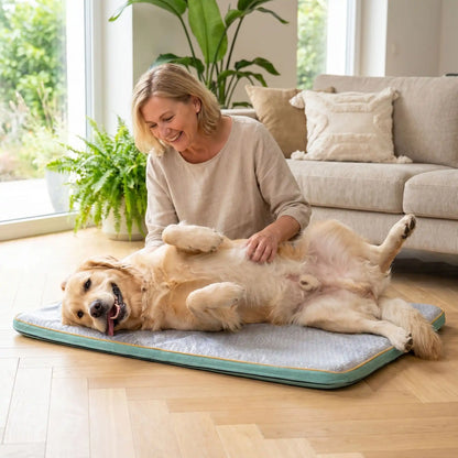 Tapis-chien-rafraichissant déhoussable et lavable en machine, avec matelas orthopédique 100% coton haute densité, antidérapant, pour un usage en surmatelas ou tapis épais haute réislience, disponible en taille xl et xxl pour chiot et chien de grande taille- un chien de moyenne race couché sur le dos , les pattes en l'air, caresser par sa maitresse sur le ventre sur son tapis rafraichissant orthopédique xxl de 120 cm de long sur le sol du salon de la maison en été