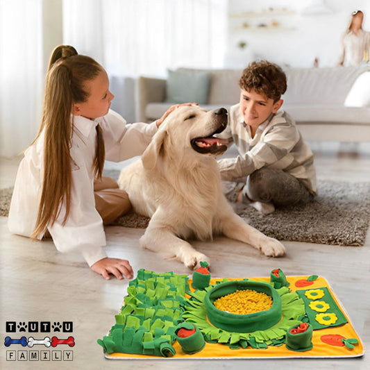 Tapis-de-fouille-pour-chien-sonore-jouet-d-occupation-chien-un-chien-et-deux-enfant-avec-le-tapis-de-fouille-ou-le-chien-cherche-les-friandises-cachées