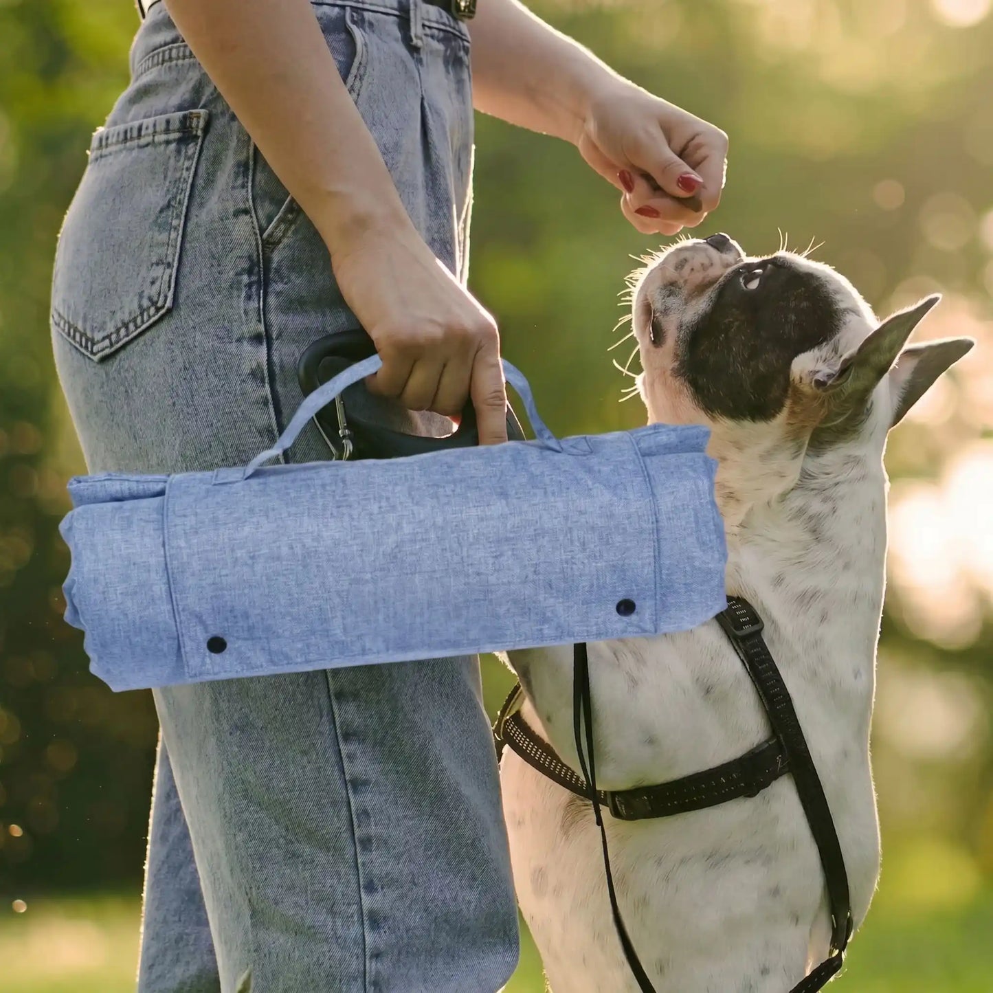 Tapis voyage chien imperméable pour chien-lavable un grand chien assis sur son tapis qui protège la voiture, idéal pour voyage et transport en voiture, à la plage, en foret, en camping, en randonnée, en sortie, un tapis 4 saisons, réversible, rembourrage 100% Coton PP et housse nylon résistante aux griffes, pliable et portable avec sa poignée de transport pour chien -une propriétaire avec son chienqui porte par sa poignée le tapis de voyage enroulé et fermé par des boutons pression en balade au parc