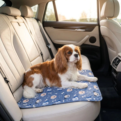 Tapis-pour-chiens-100% imperméable, 100 %coton haute densité lavable en machine, polyvalent, solide et résistant aux griffes, rafraichissant pour l'été et confortable en hiver, protège vos sols et vos meubles, disponible en 4 tailles du XS au L pour chiot et chien de petite à moyenne taille de 0 à 25 kg avec motif mignon-un chien de taille moyenne assis confortablement sur son tapis bleu avec motif mignon de chien et d'os en protège sièges arrières de la voiture