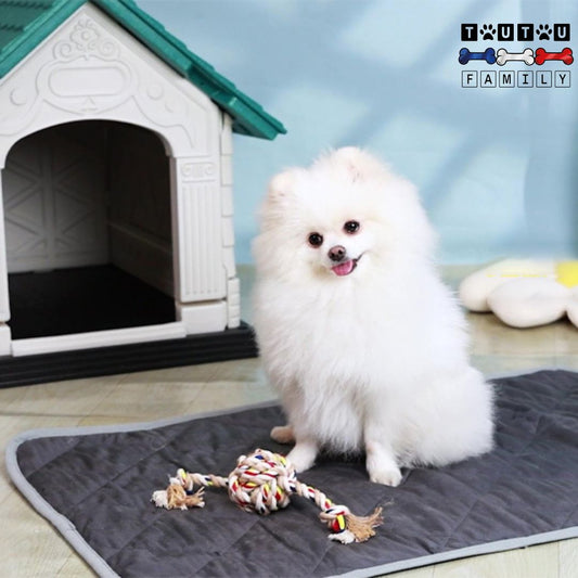 Tapis-pour-chien-auto-chauffant-pliable-un-chien-assis-sur-son-tapis-auto-chauffant-dans-sa-niche-tapis-polyvalent-transportable-léger-anti-dérapant-pour-la-maison-ou-en-déplacement-lit-d-hiver-pour-chien
