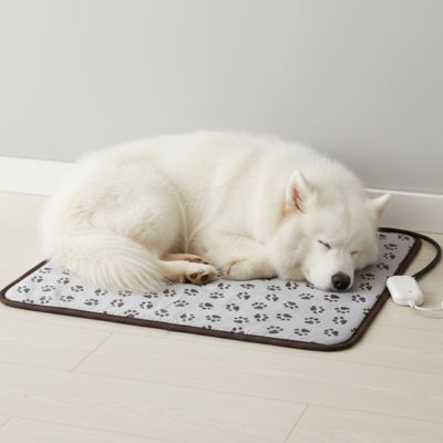 Tapis-pour-chien-chauffant-electrique-couverture rembourrée 100% coton imperméable avec tissu anti- morsures résistant avec boitier de réglages de trois températures de faible à fort pour une chauffe rapide homogène et sécurisée, économique et lavable avec motif de pattes de chien de couleur gris-un chien de taille moyenne qui dort paisiblement sur son tapis chauffant électrique  sur le sol de salon
