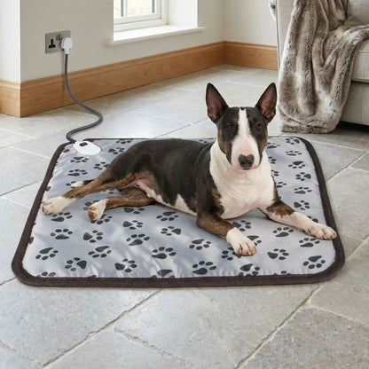 Tapis-pour-chien-chauffant-electrique-couverture rembourrée 100% coton imperméable avec tissu anti- morsures résistant avec boitier de réglages de trois températures de faible à fort pour une chauffe rapide homogène et sécurisée, économique et lavable avec motif de pattes de chien de couleur gris-un Bull terrier miniature couché confortaiblement sur son tapis chauffant électrique  sur le sol en carrelage froid du salon