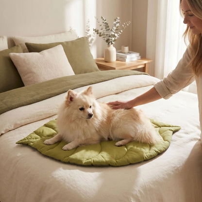 Tapis-pour-chien-chiot-design en forme de feuille, 100% coton réversible et rembourrage coton haute densité, coloris vert foncé et vert clair sur l'autre face, coutures solides et finitions soignées pour un couchage chien décoratif et polyvalent, léger transportable, coussin douillet pour chiot et chien de petite taille de 0 à 10 kilos-un petit chien à poils long et épais  couché confortablement sur le tapis au design en forme de feuille sur le lit de sa maitresse comme protège lit dans la chambre