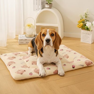 Tapis-pour-chien-chiot en flanelle douche, hypoallergénique en coton ergonomique avec rebord surélevé de forme rectangulaire, lavable en machine et durable, resistant aux griffes et morsures légère, chaud et respirant-isolant du sol froid, comme couche supplémentaire pour coussin, lit, panier pour chien-un chien de chasse couché confortablement sur son tapis avec motif mignon sur le sol du salon de la maison