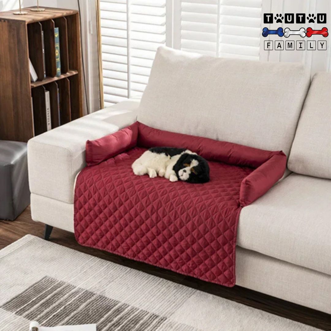 Tapis-pour-chien-protège-canapé-imperméable avec traversin 100% coton, un chien couché sur le protège canapé rouge 