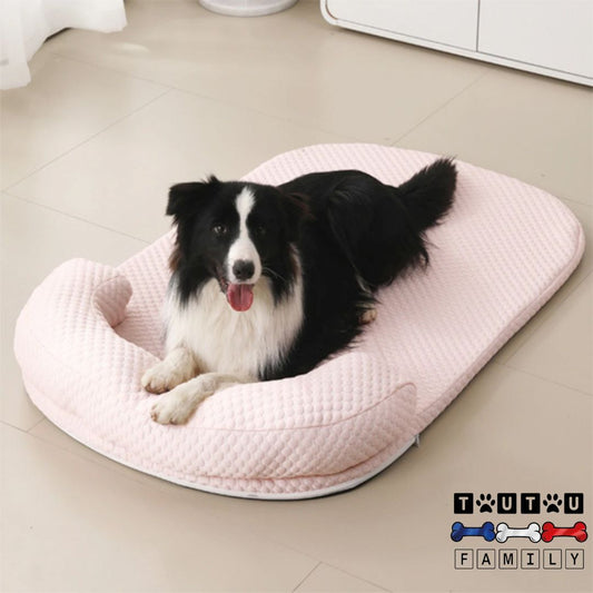 Tapis-pour-chien-rafraichissant-lavable-avec-coussin-repose-tête-ergonomique-un-rand-chien-couché-sur-le-ventre-sur-son-matelas-rafraichissant--les-pattes-posés-sur-l-oreiller-intégré-du-lit-rafraichissant-rose